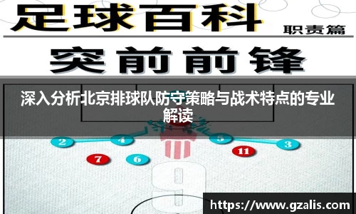 深入分析北京排球队防守策略与战术特点的专业解读