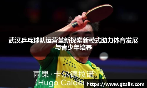 k1体育官方网站
