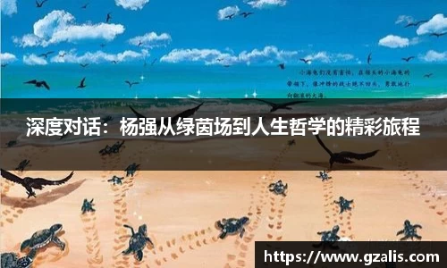 深度对话：杨强从绿茵场到人生哲学的精彩旅程