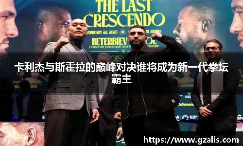 卡利杰与斯霍拉的巅峰对决谁将成为新一代拳坛霸主