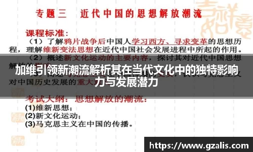 加维引领新潮流解析其在当代文化中的独特影响力与发展潜力