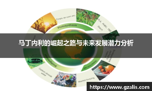 马丁内利的崛起之路与未来发展潜力分析