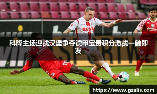 k1体育官方网站